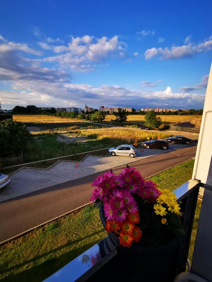 Teo Apartment Braşov Exterior foto